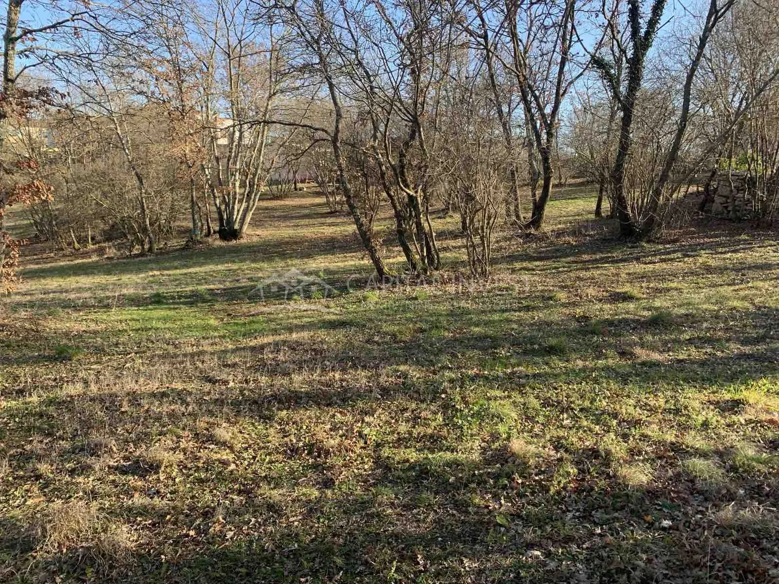 Fotografija