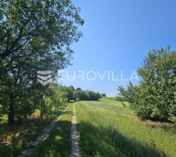 Erdut, kuća na prodaju 208 m2 sa zemljištem, ukupno 2489 m2 - cover