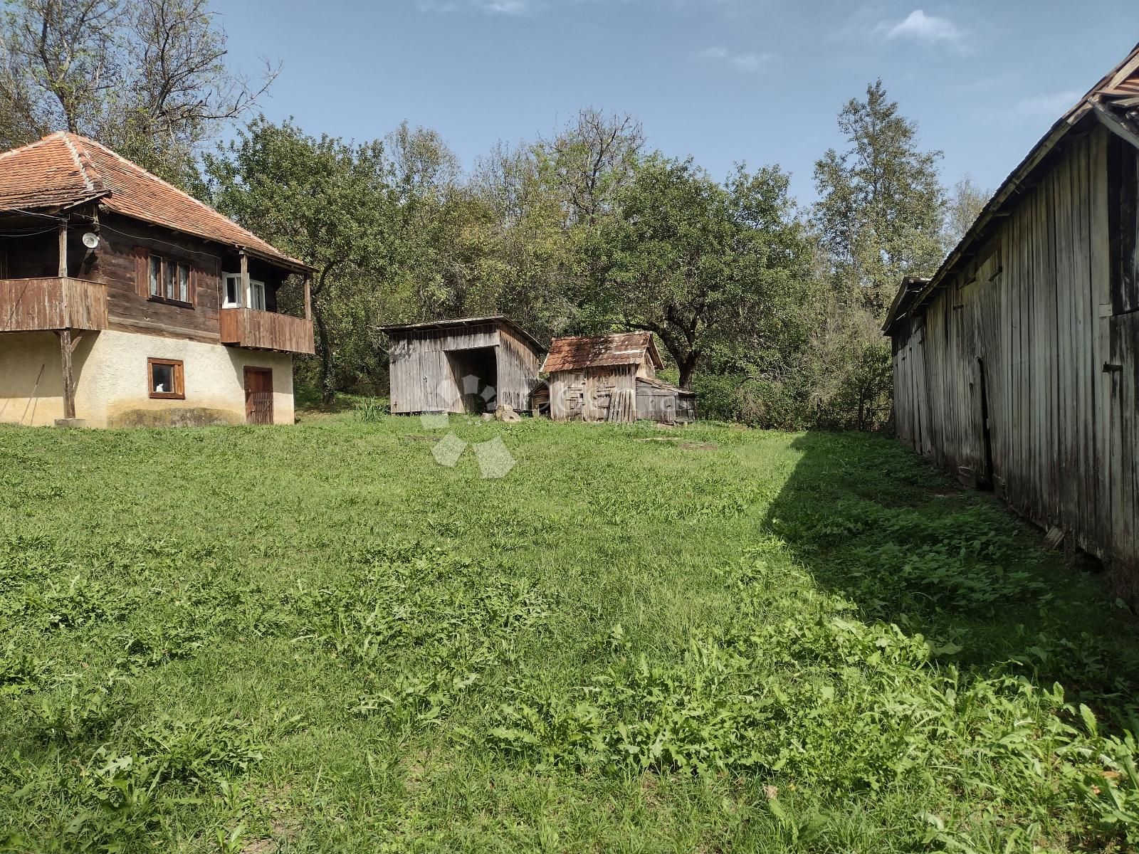Fotografija