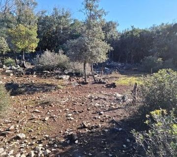 Poljoprivredno zemljište – Otok Vir, 100m od mora, prilaz cesti - cover