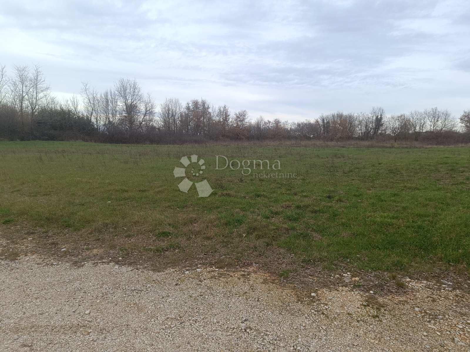 Fotografija