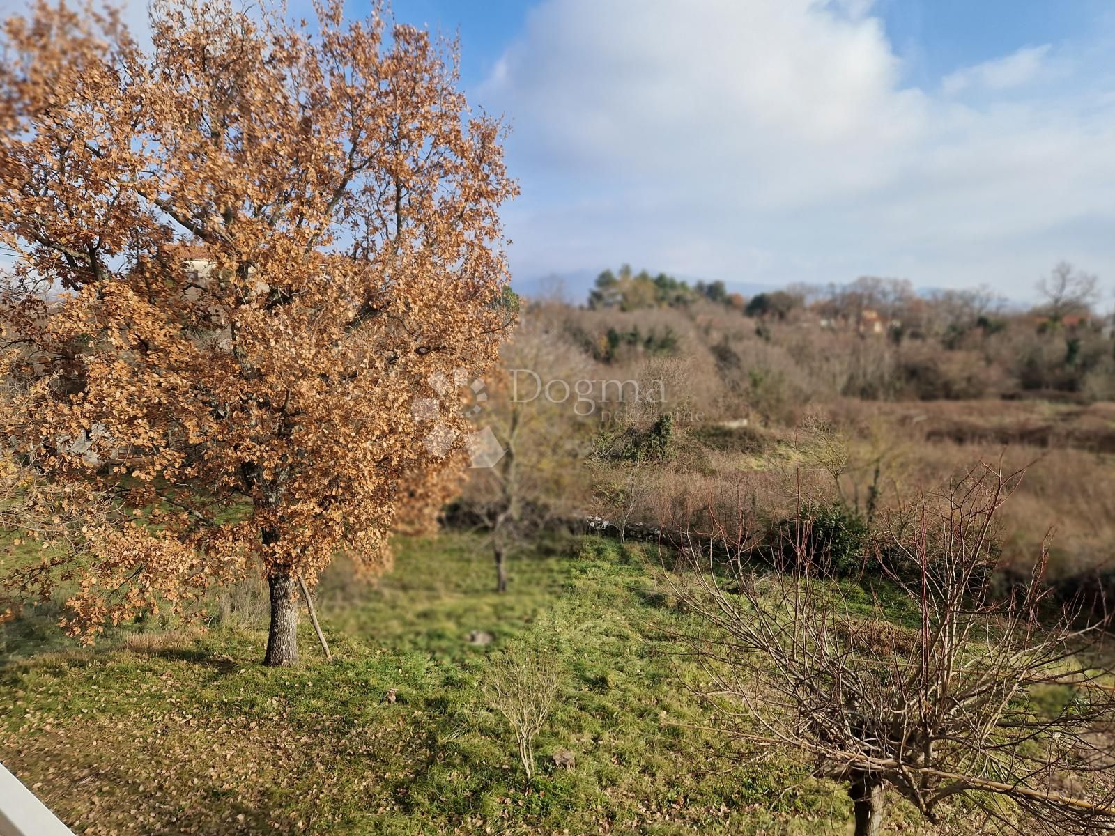 Fotografija
