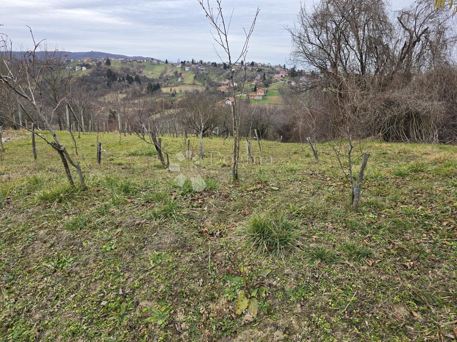 Fotografija