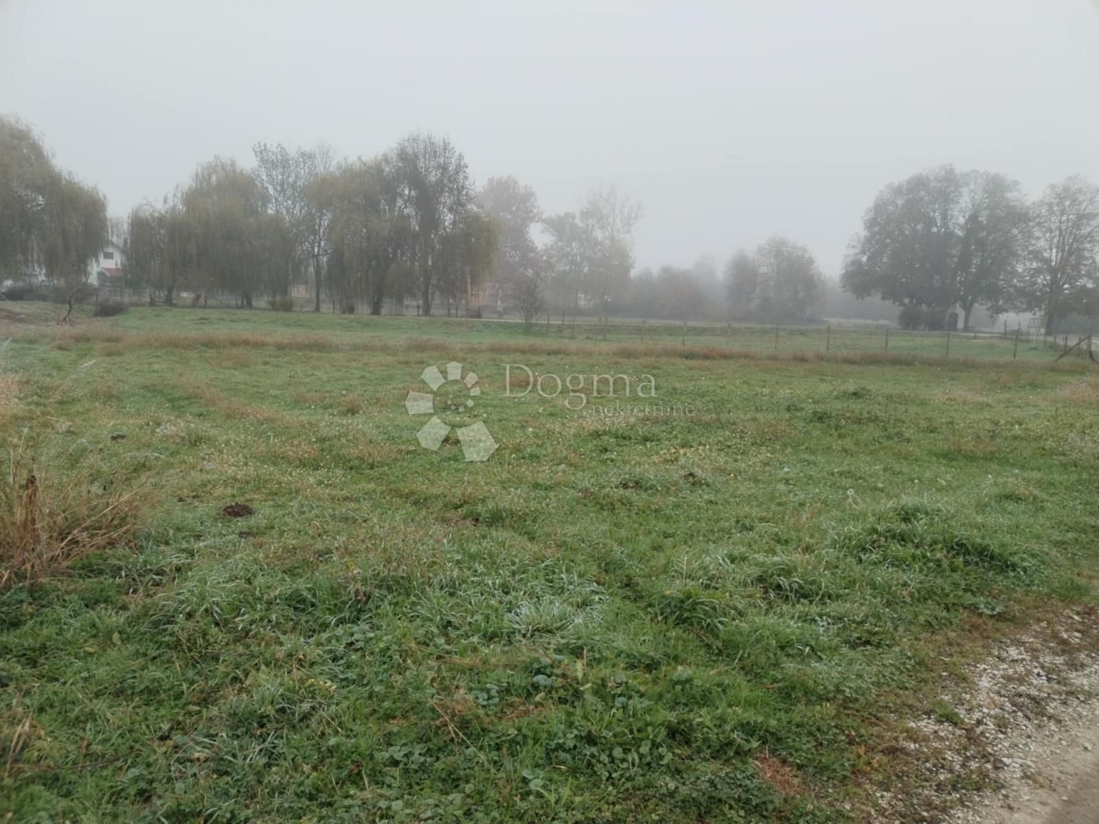 Fotografija