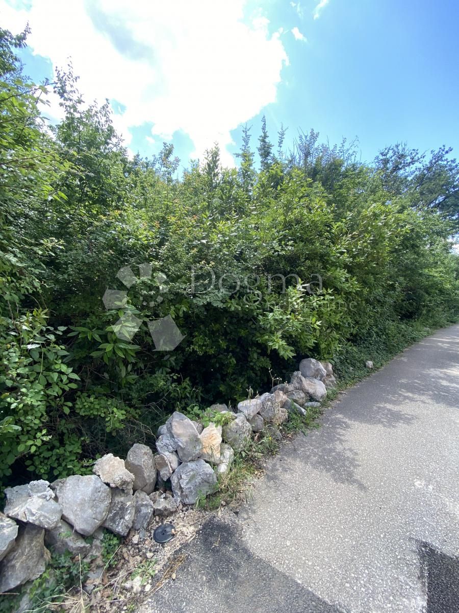 Fotografija