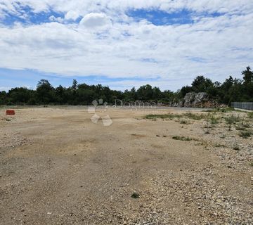 Kastan -  ravan teren 6000 m2  - cover