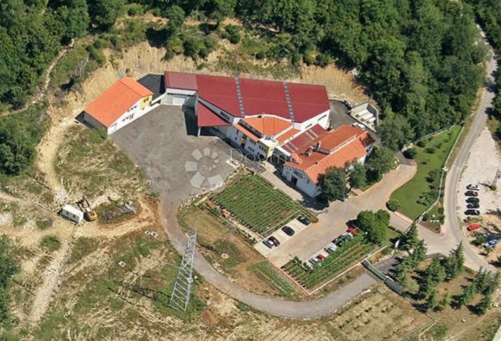 Fotografija