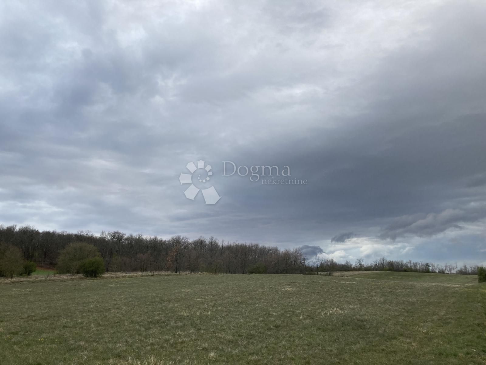 Fotografija