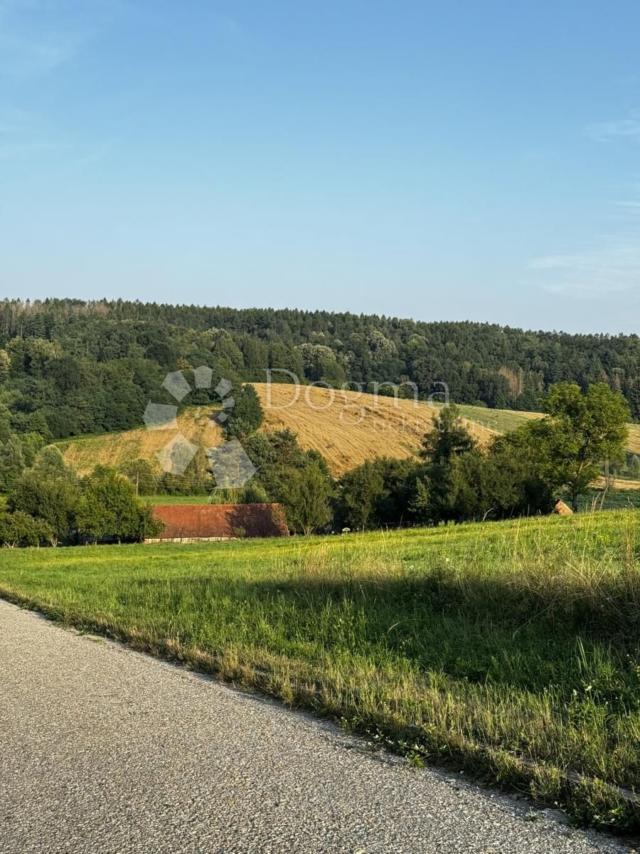 Fotografija