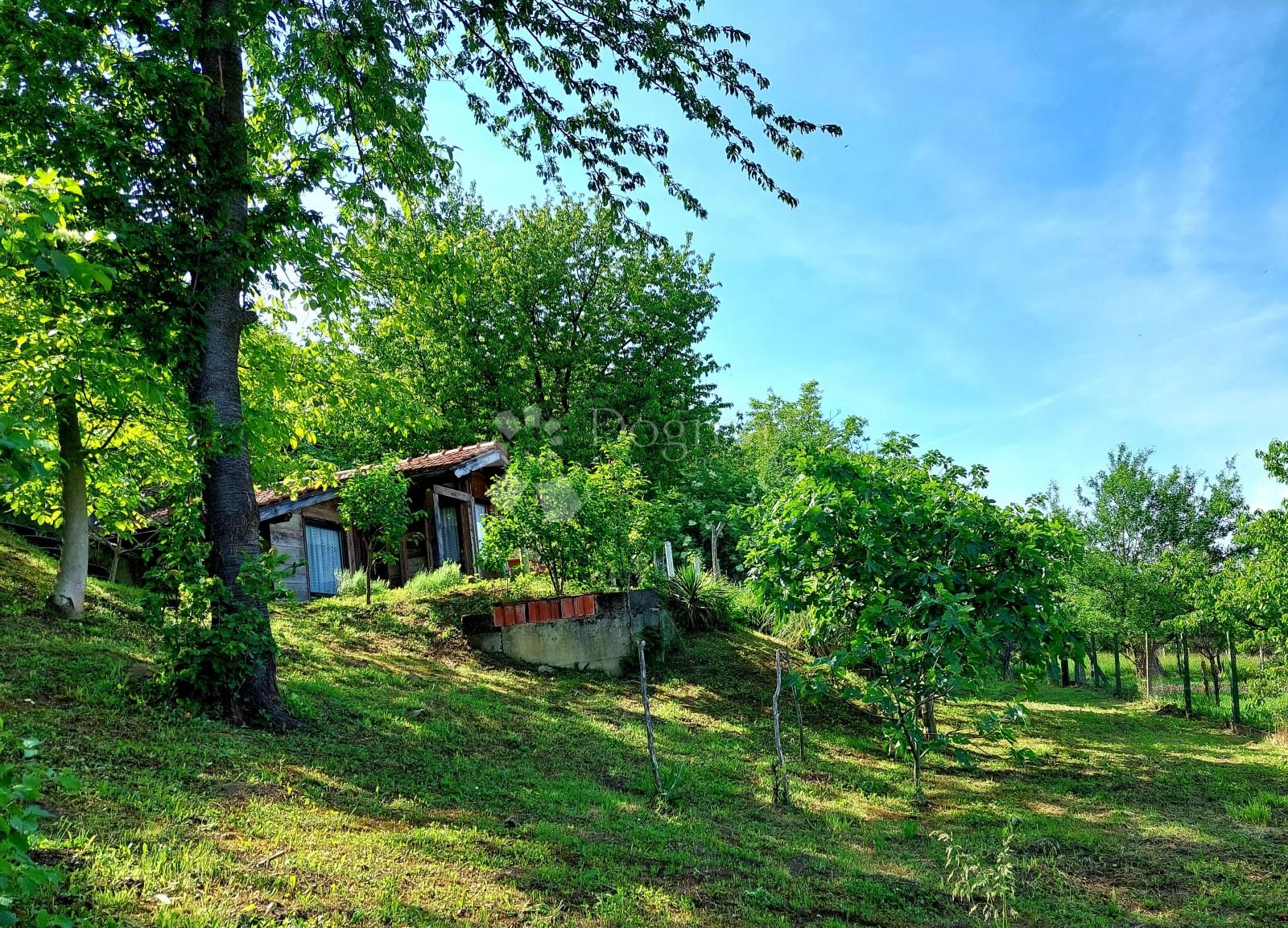 Fotografija