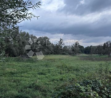 GRAĐEVINSKO ZEMLJIŠTE LIČKI OSIK UZ VODU 4640 m2 - cover