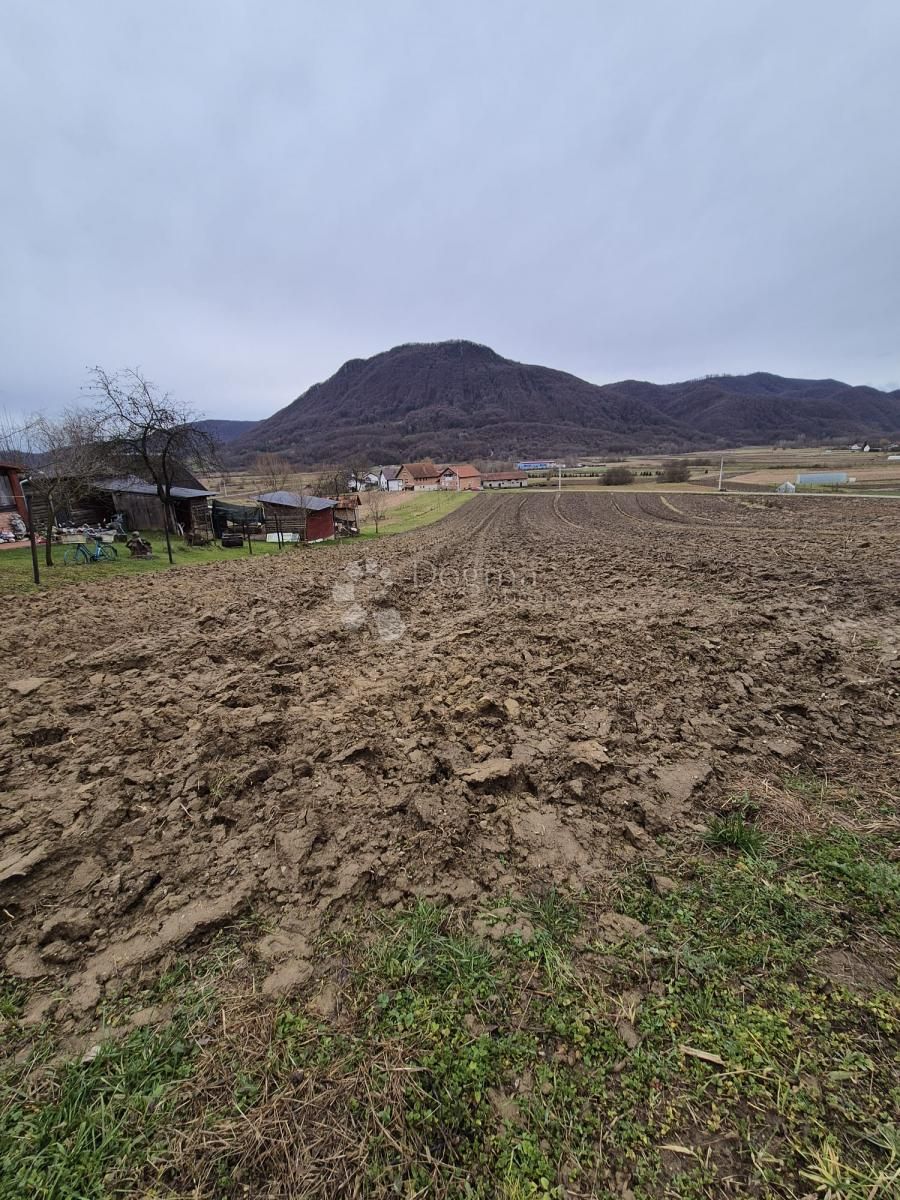 Fotografija