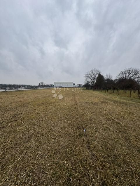 Fotografija