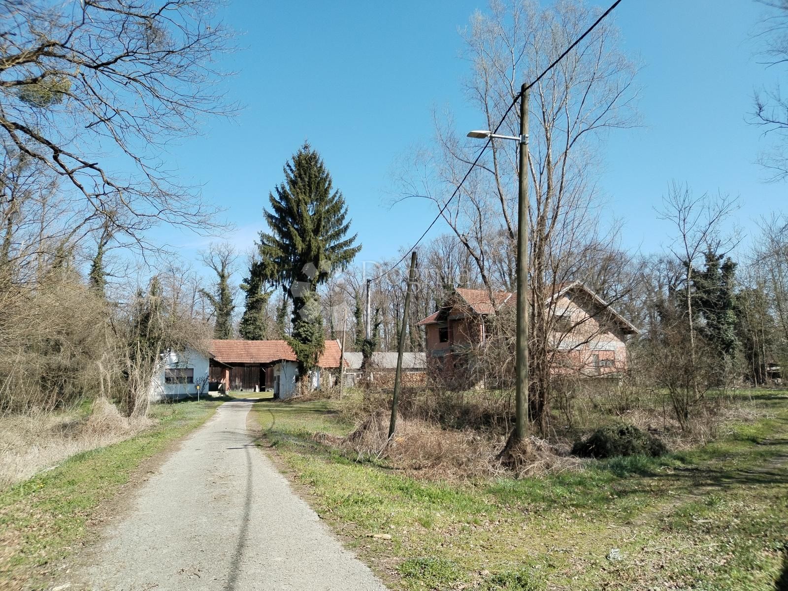 Fotografija