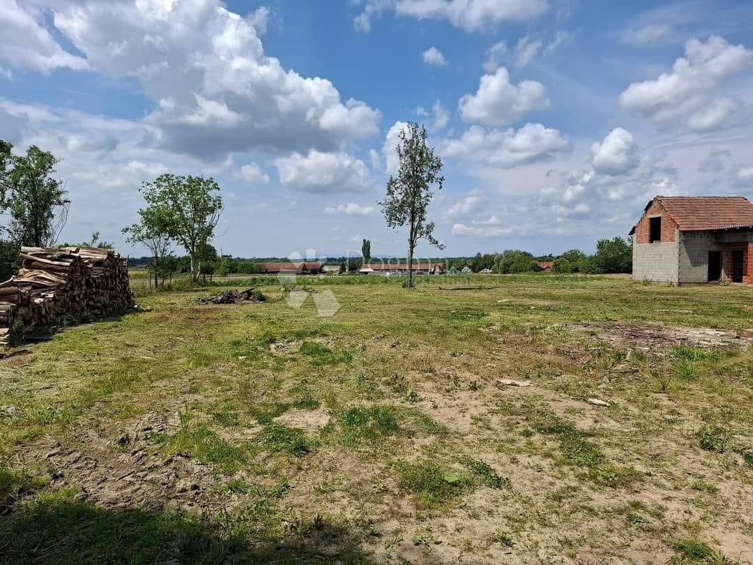 Fotografija