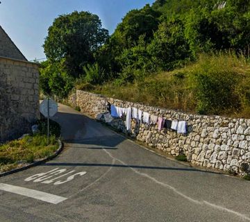 RUŠEVINA, ŽEŽEVICA - cover