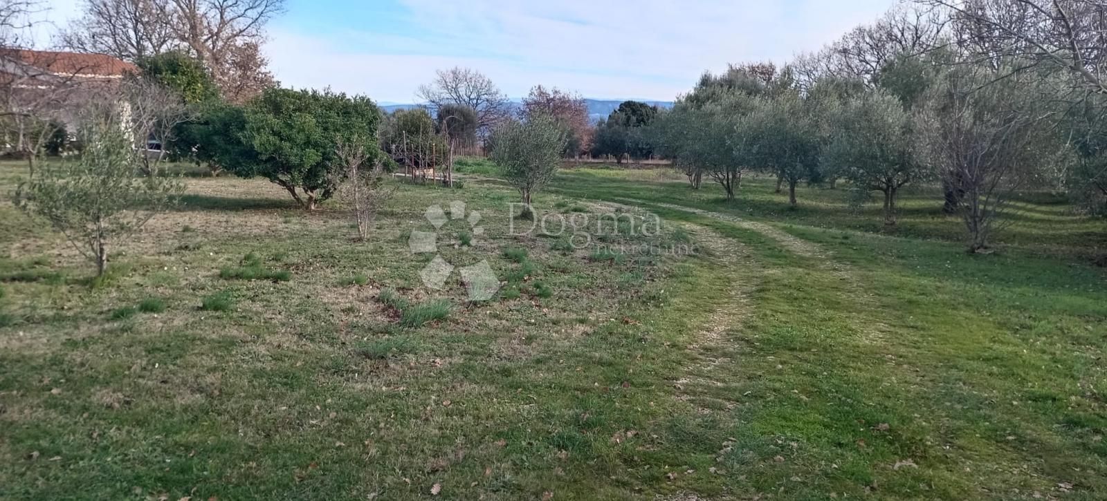 Fotografija