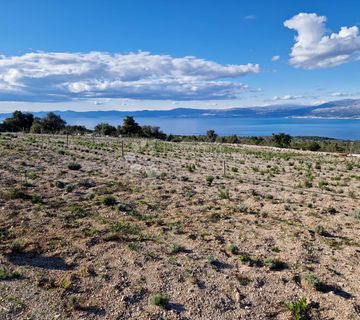 Donji Humac, zemljište za izgradnju OPG-a, 12555 m2, pogled - cover