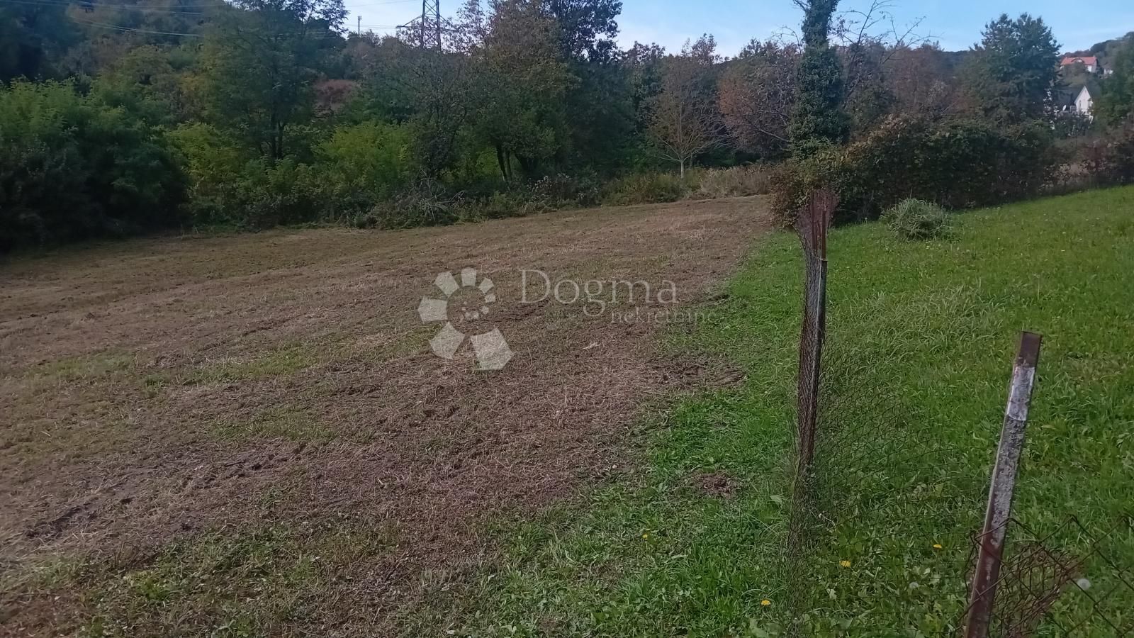 Fotografija