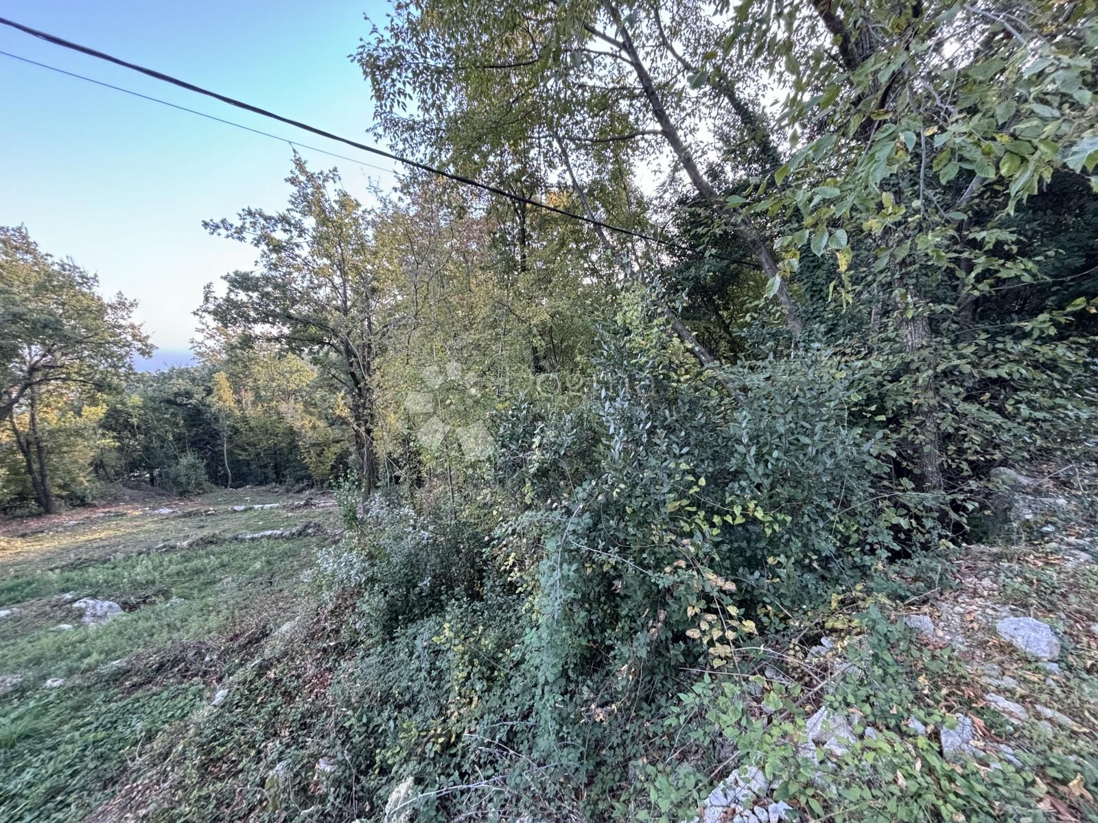 Fotografija