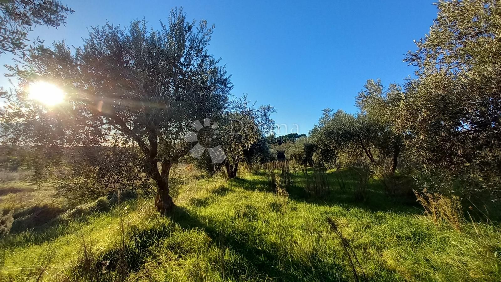 Fotografija