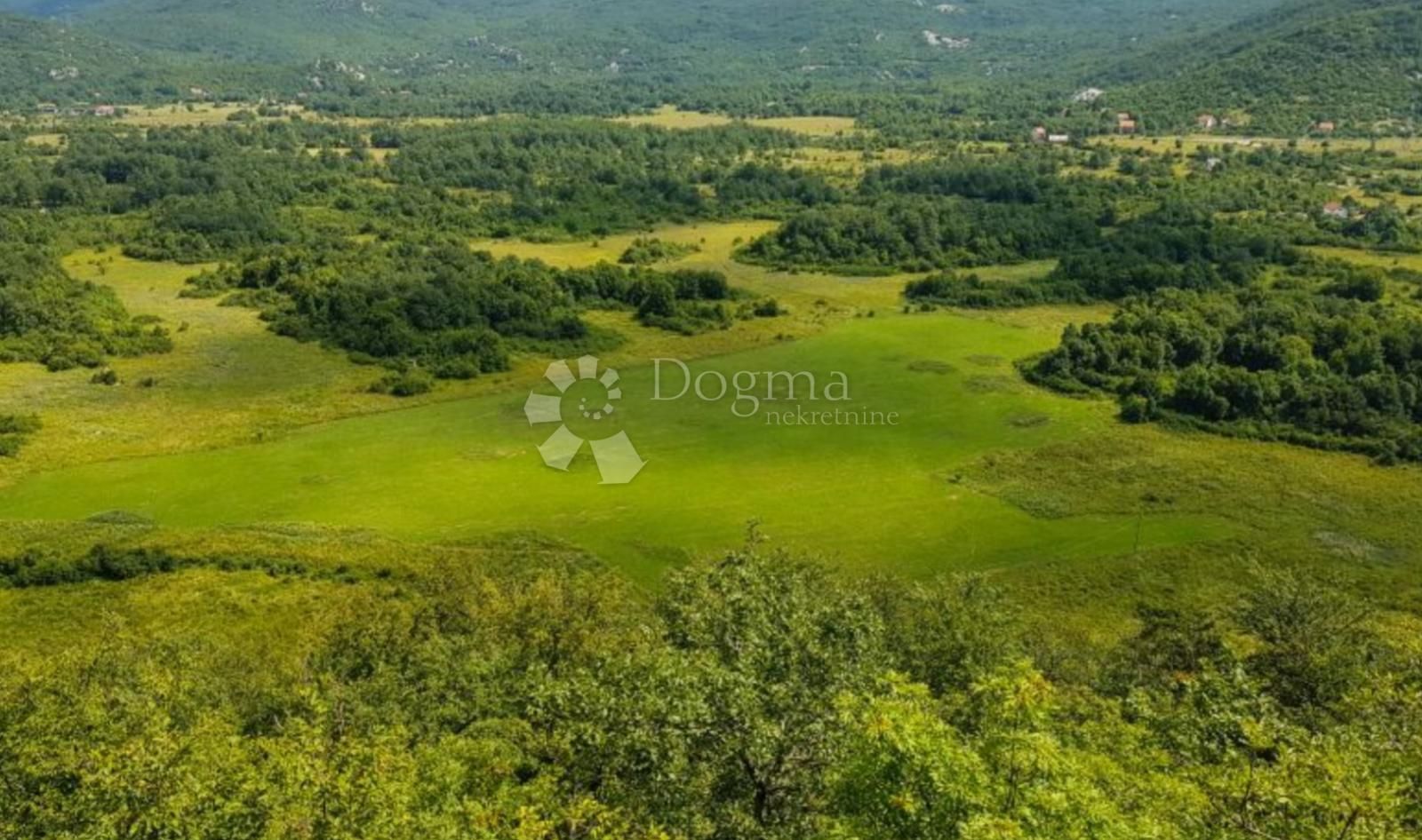 Fotografija