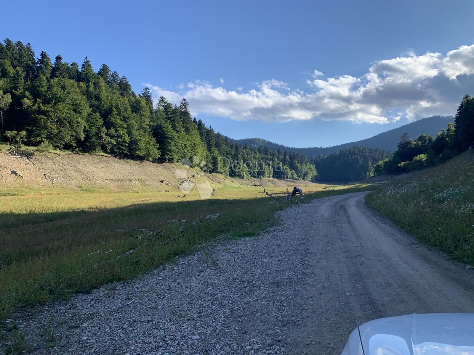 Fotografija