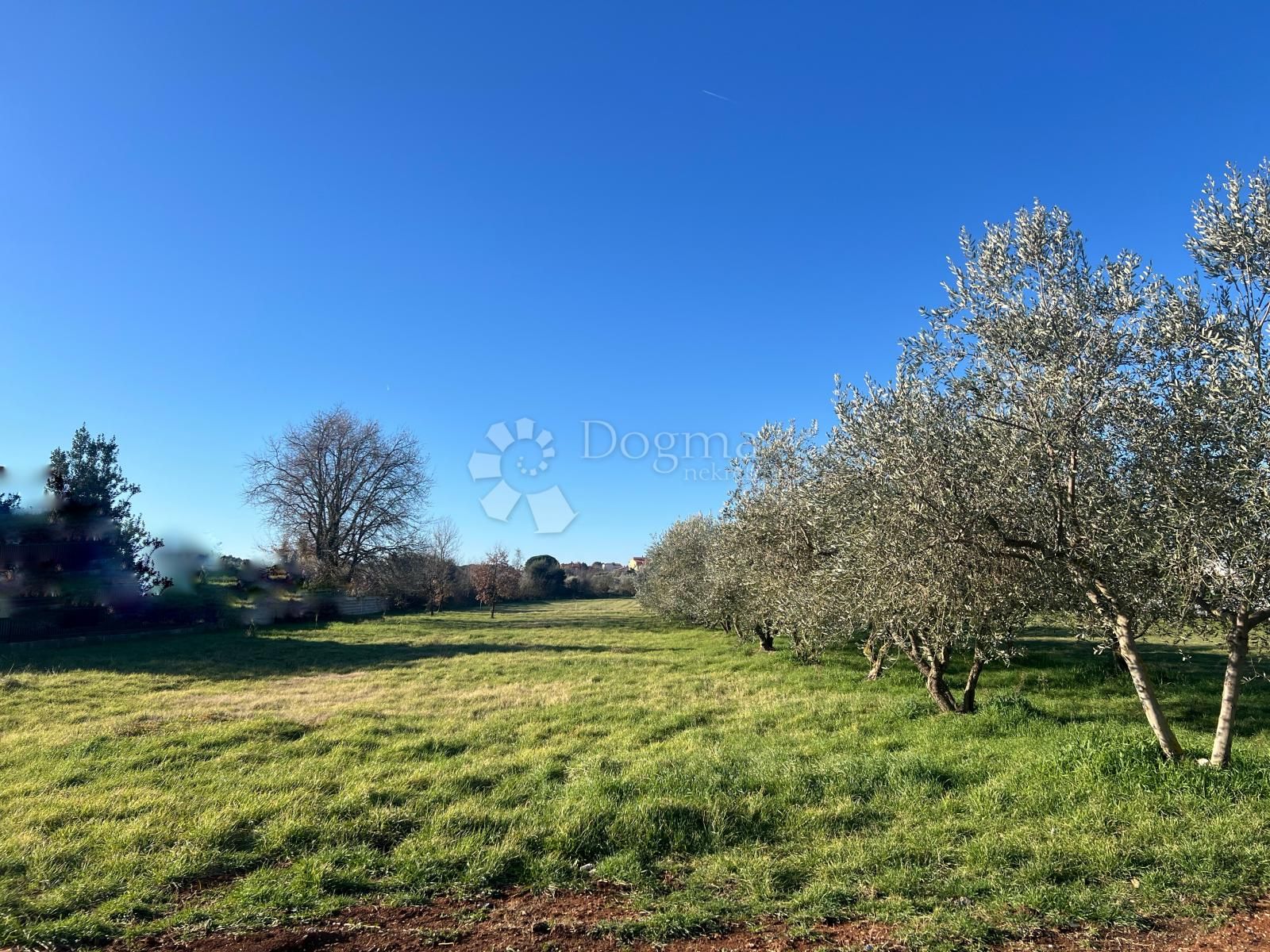 Fotografija