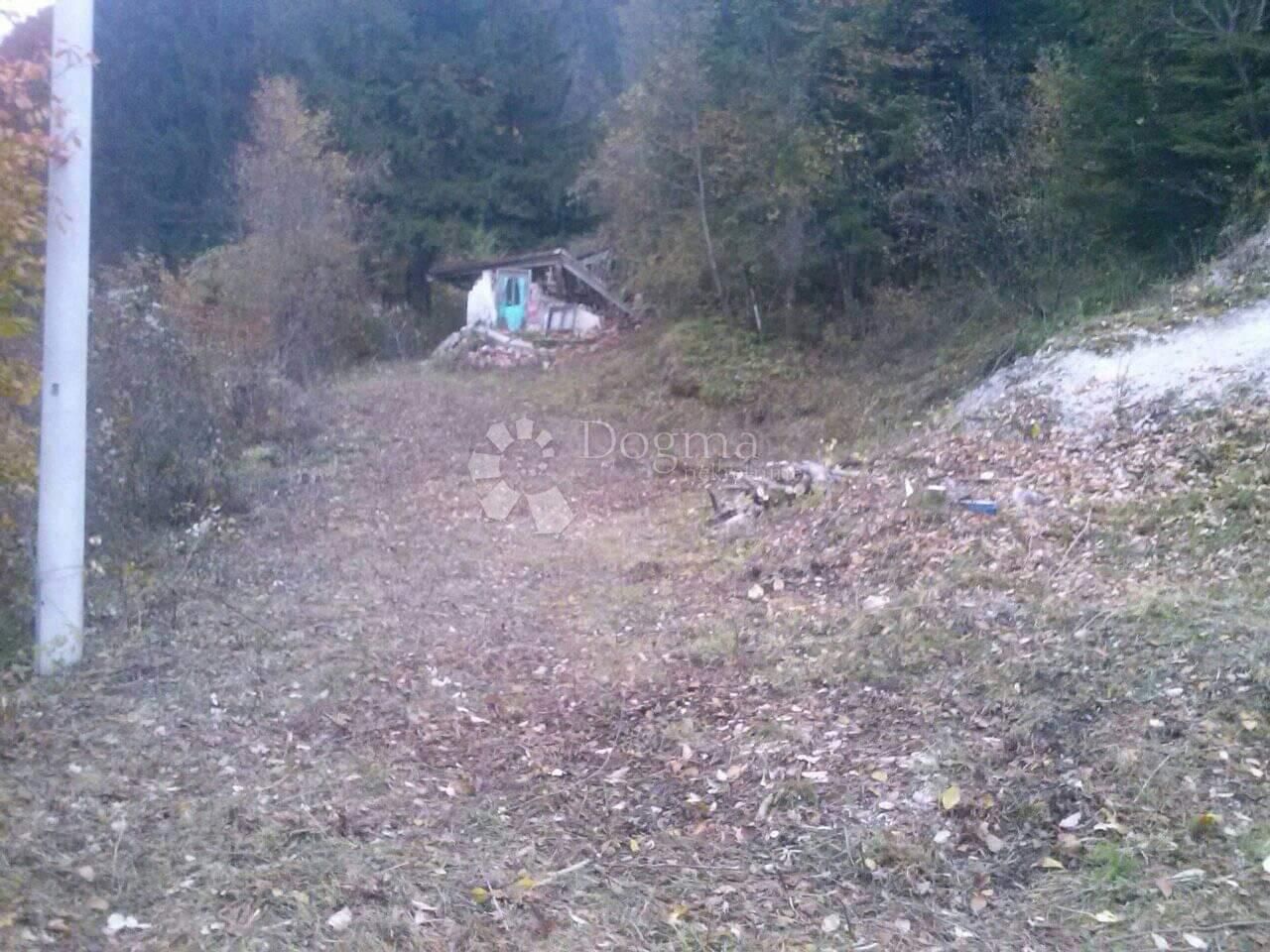 Fotografija