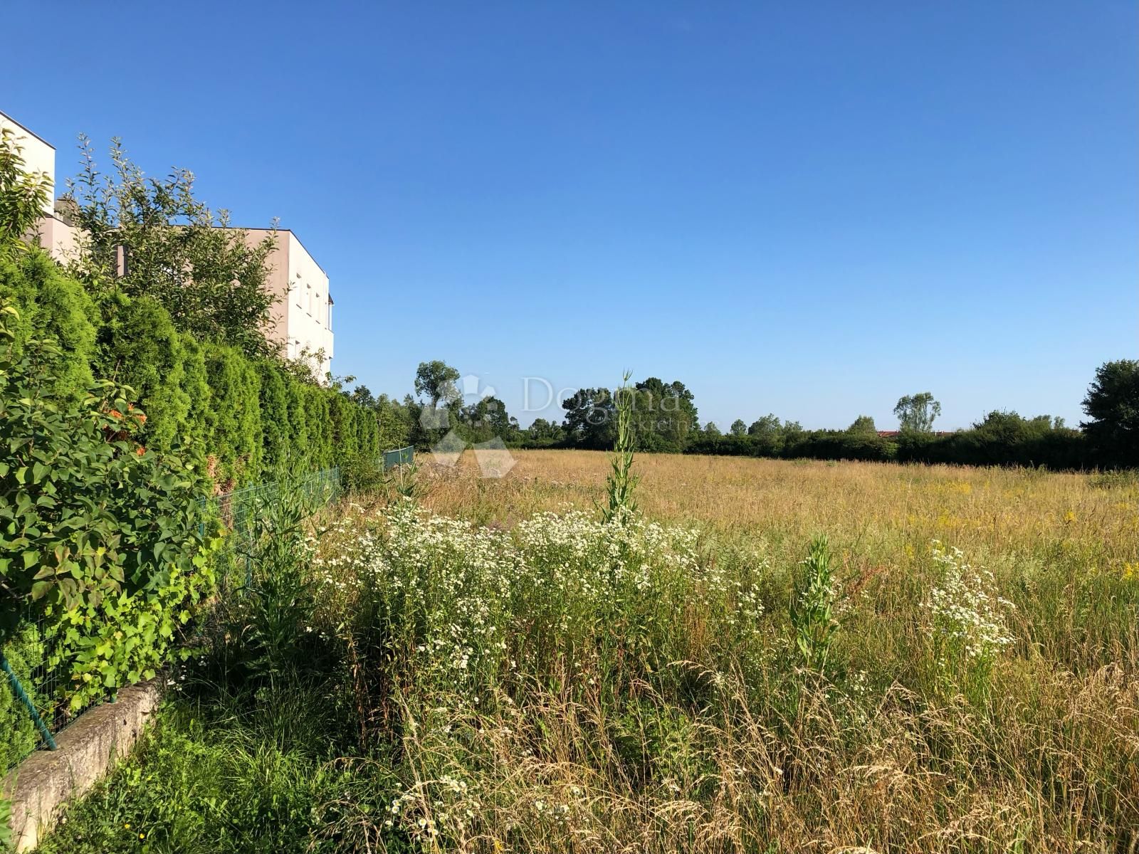 Fotografija