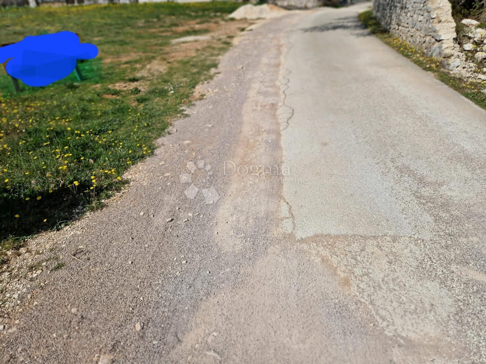 Fotografija