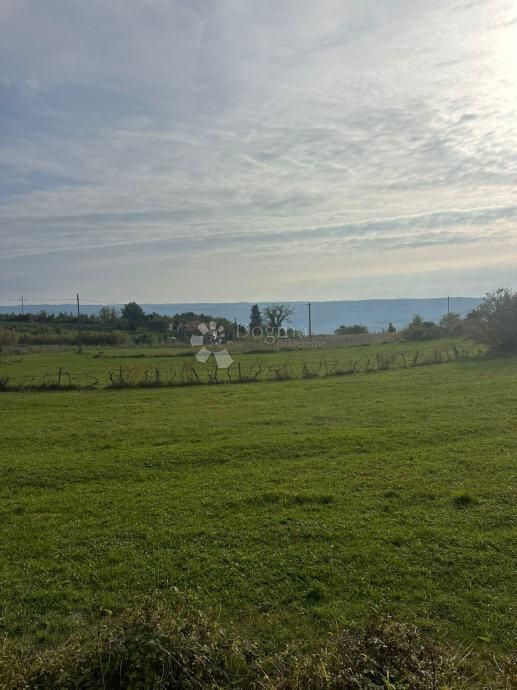 Fotografija