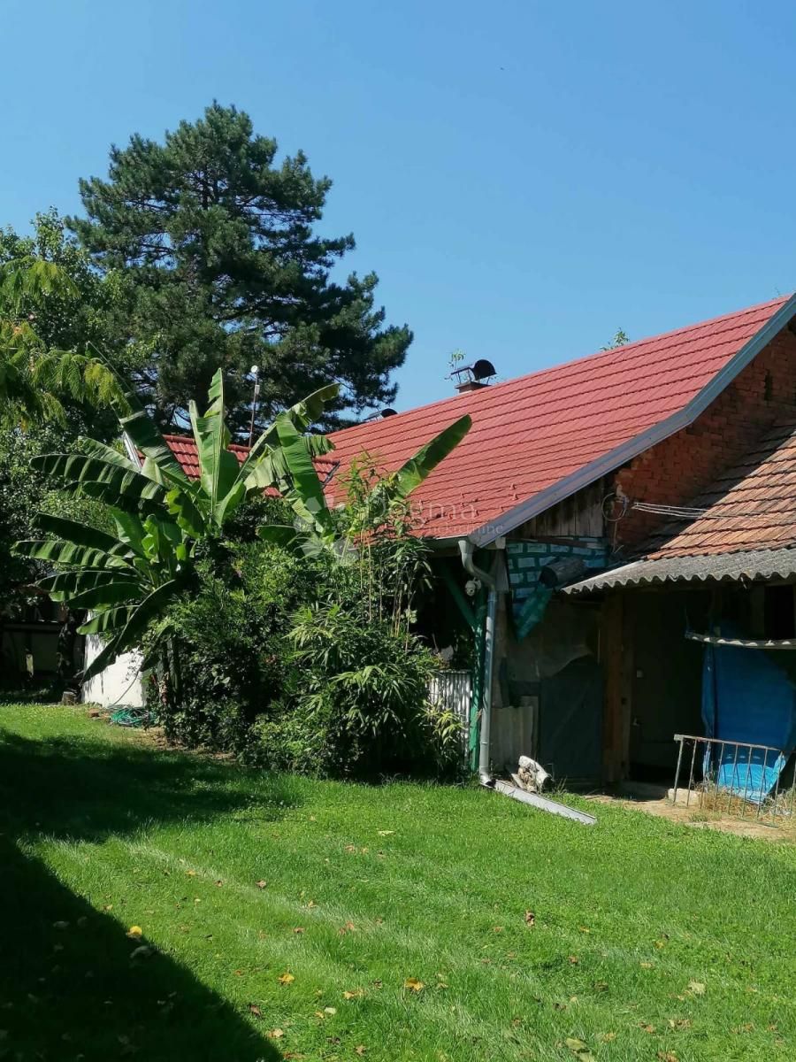 Fotografija