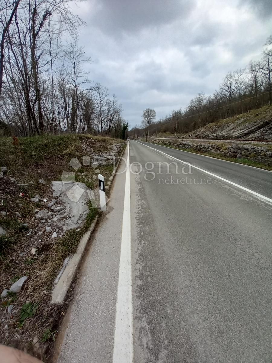 Fotografija