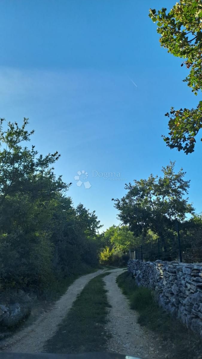 Fotografija