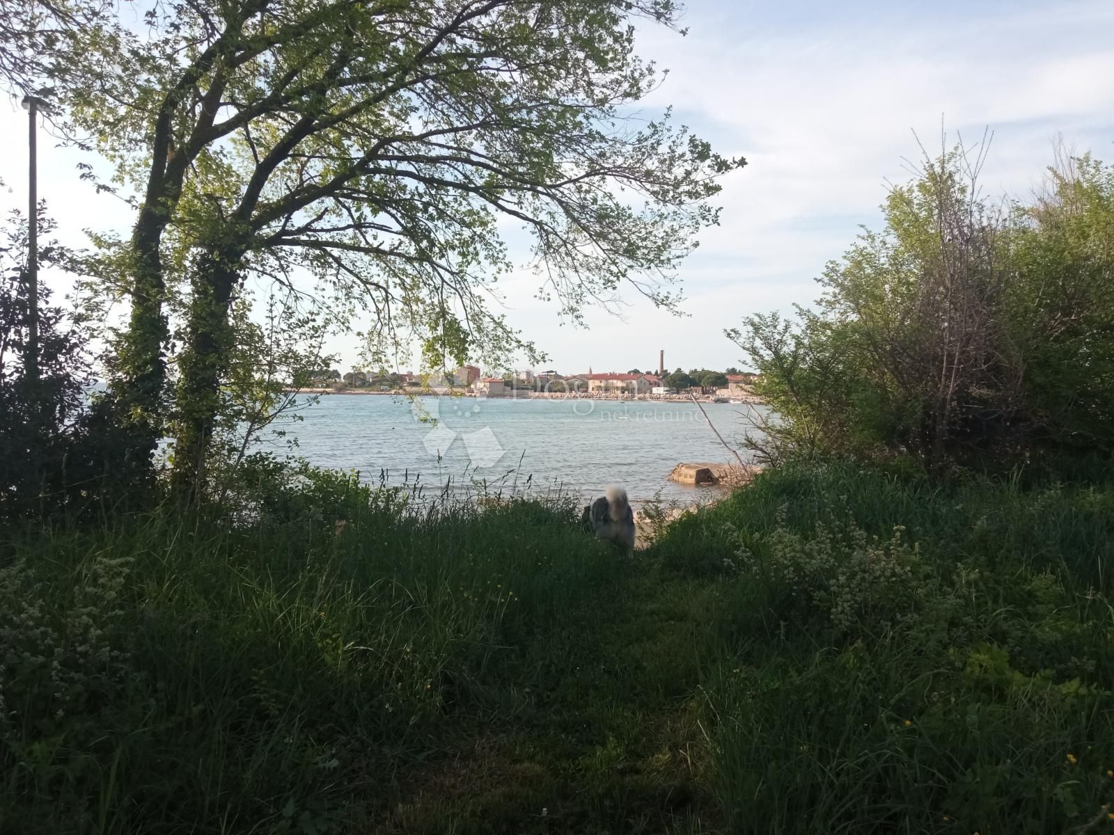 Fotografija