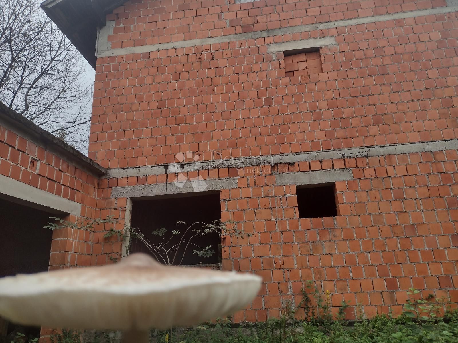 Fotografija