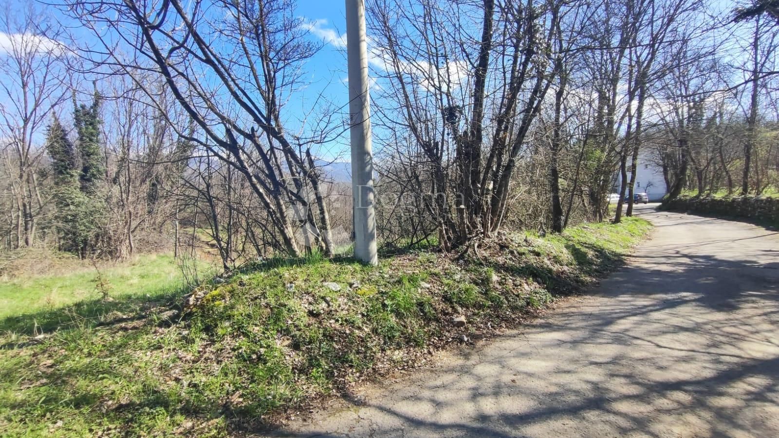Fotografija