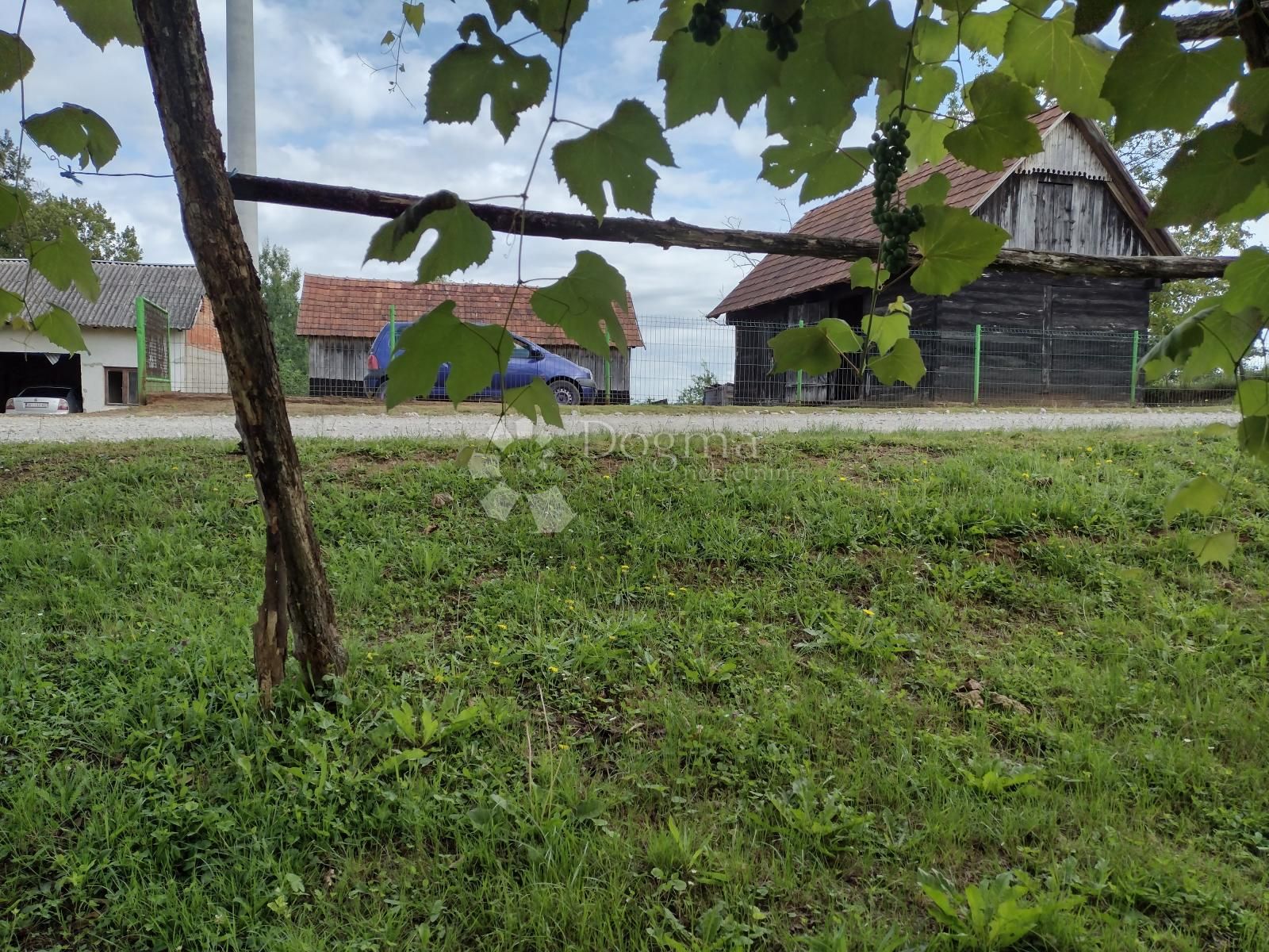 Fotografija