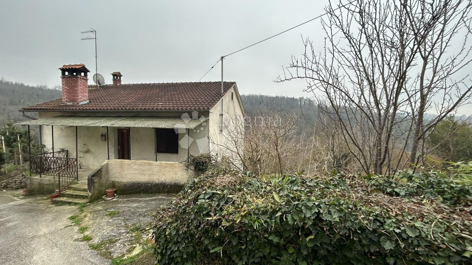 Fotografija