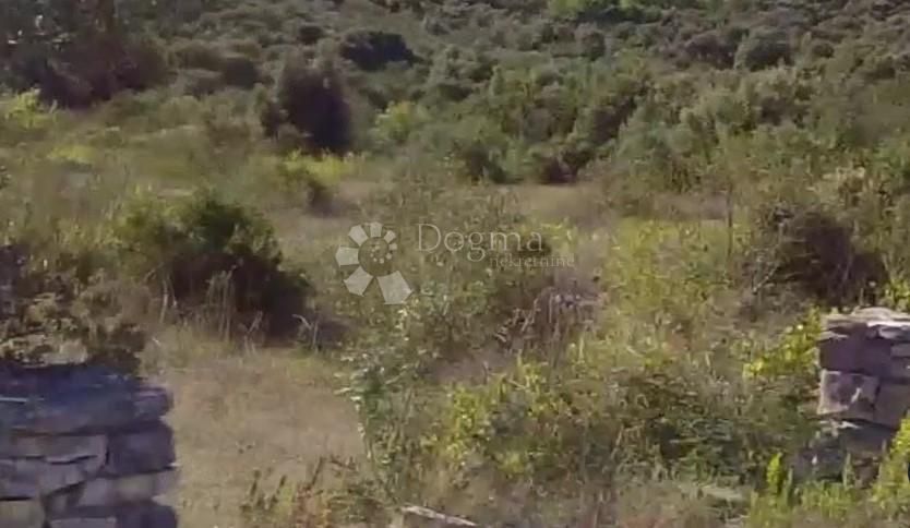 Fotografija