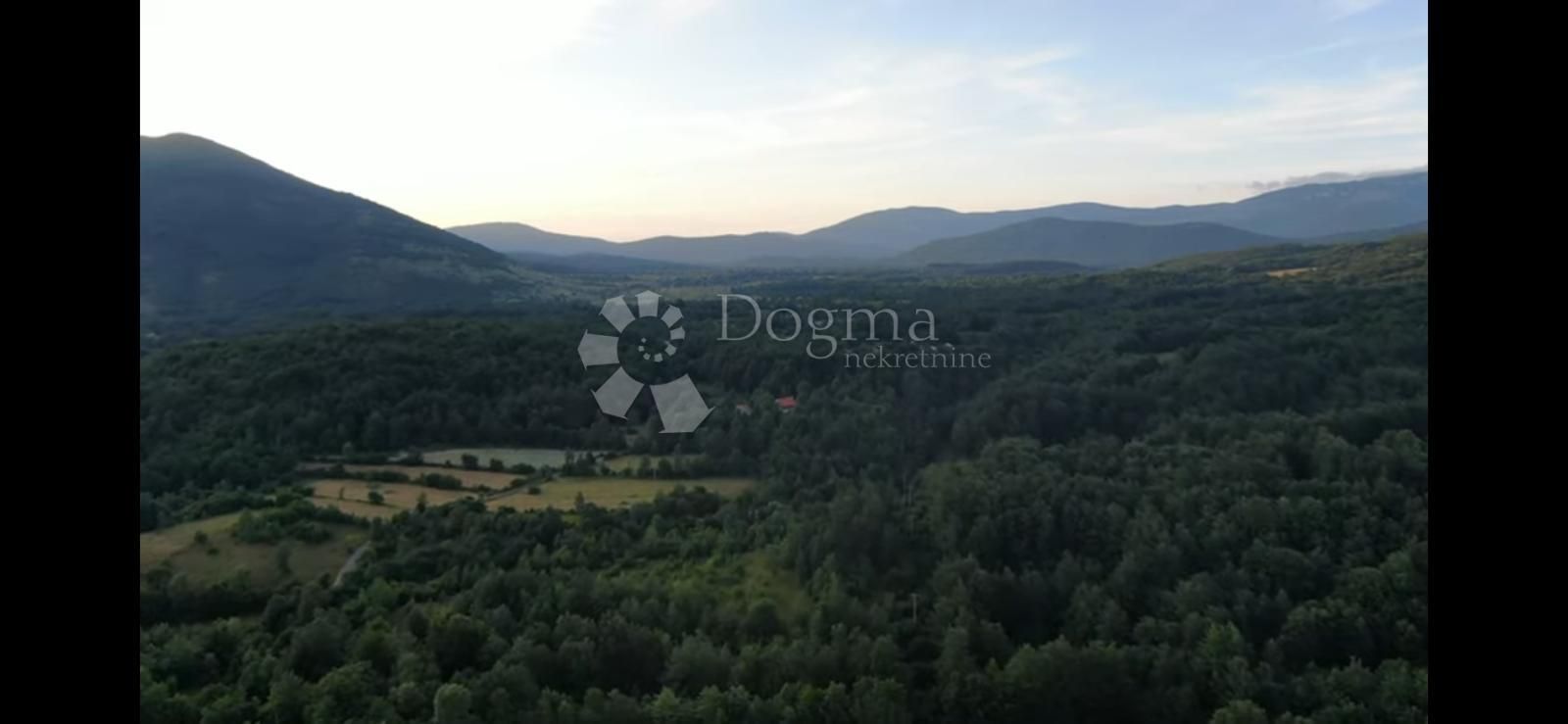 Fotografija
