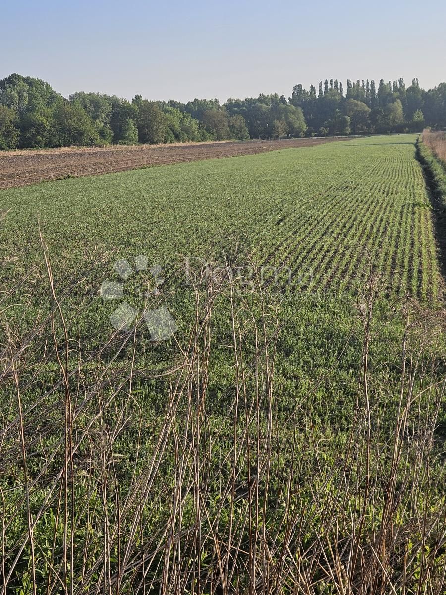 Fotografija
