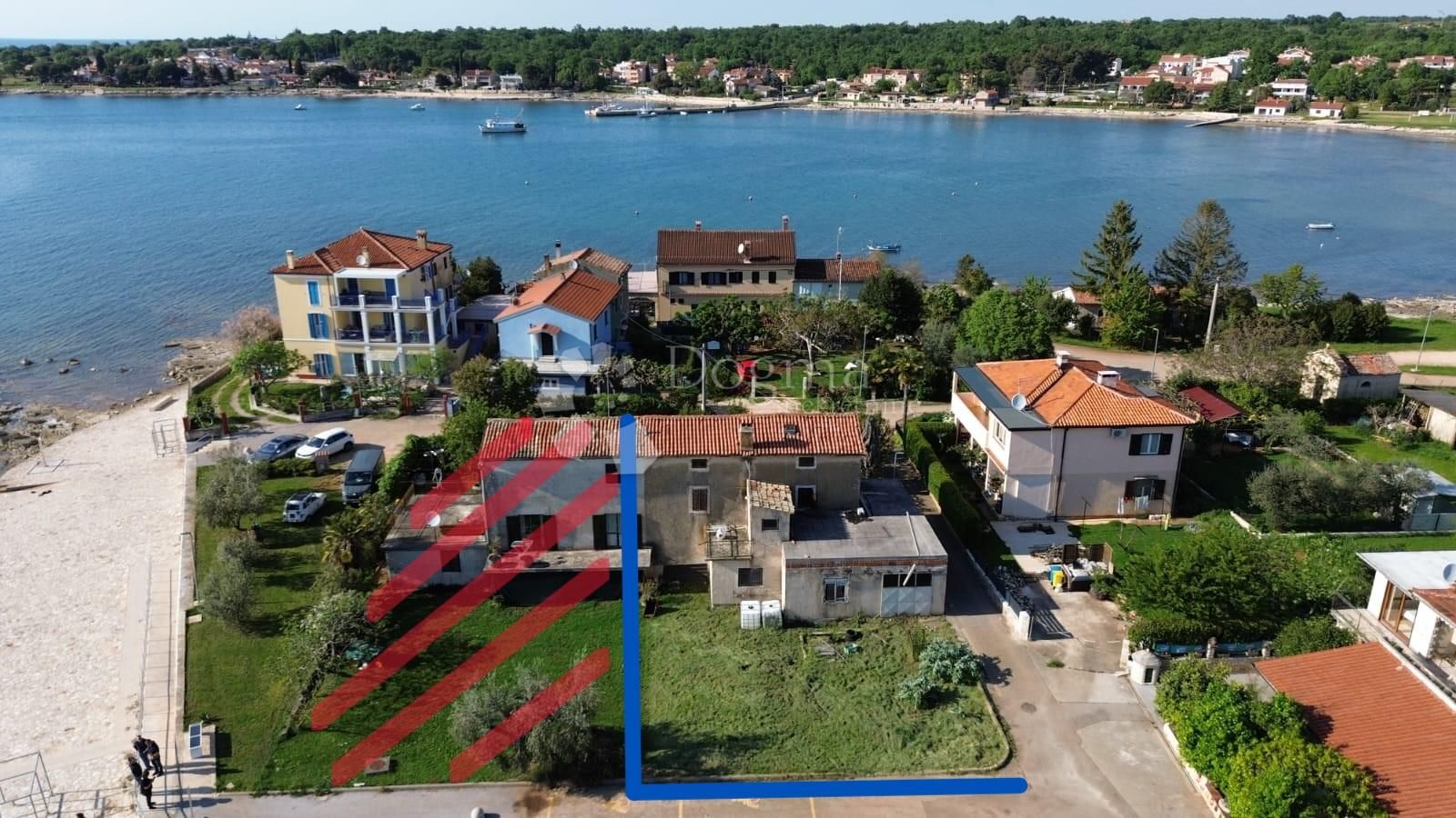 Fotografija