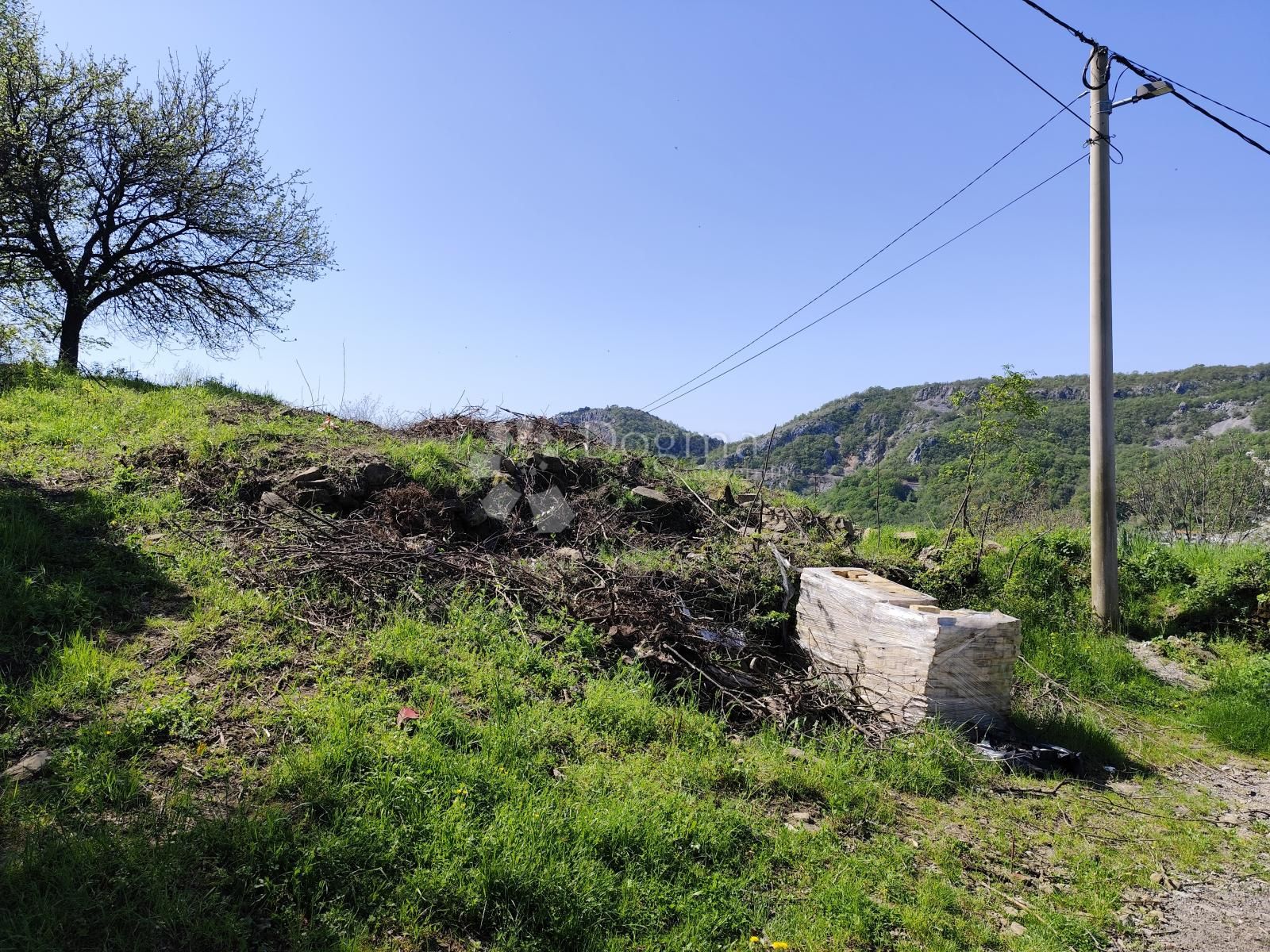 Fotografija