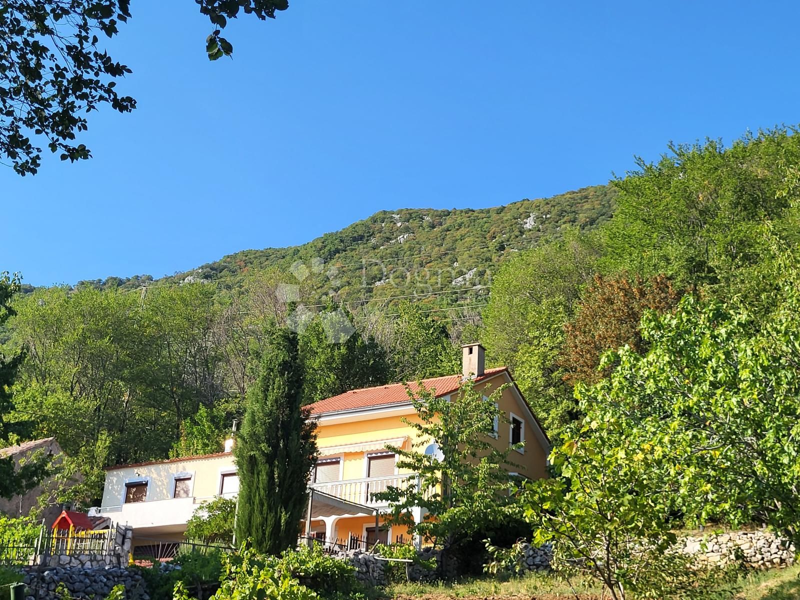 Fotografija