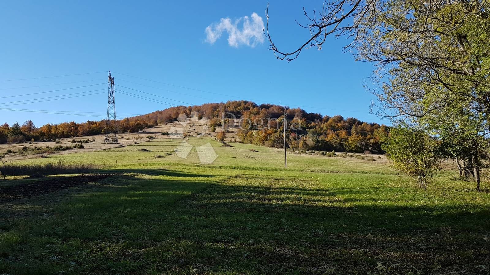Fotografija