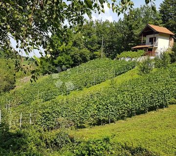Klijet / vikendica nadomak Vinskom Vrhu sa 2.277m² izuzetno vinorodnog zemljišta - cover