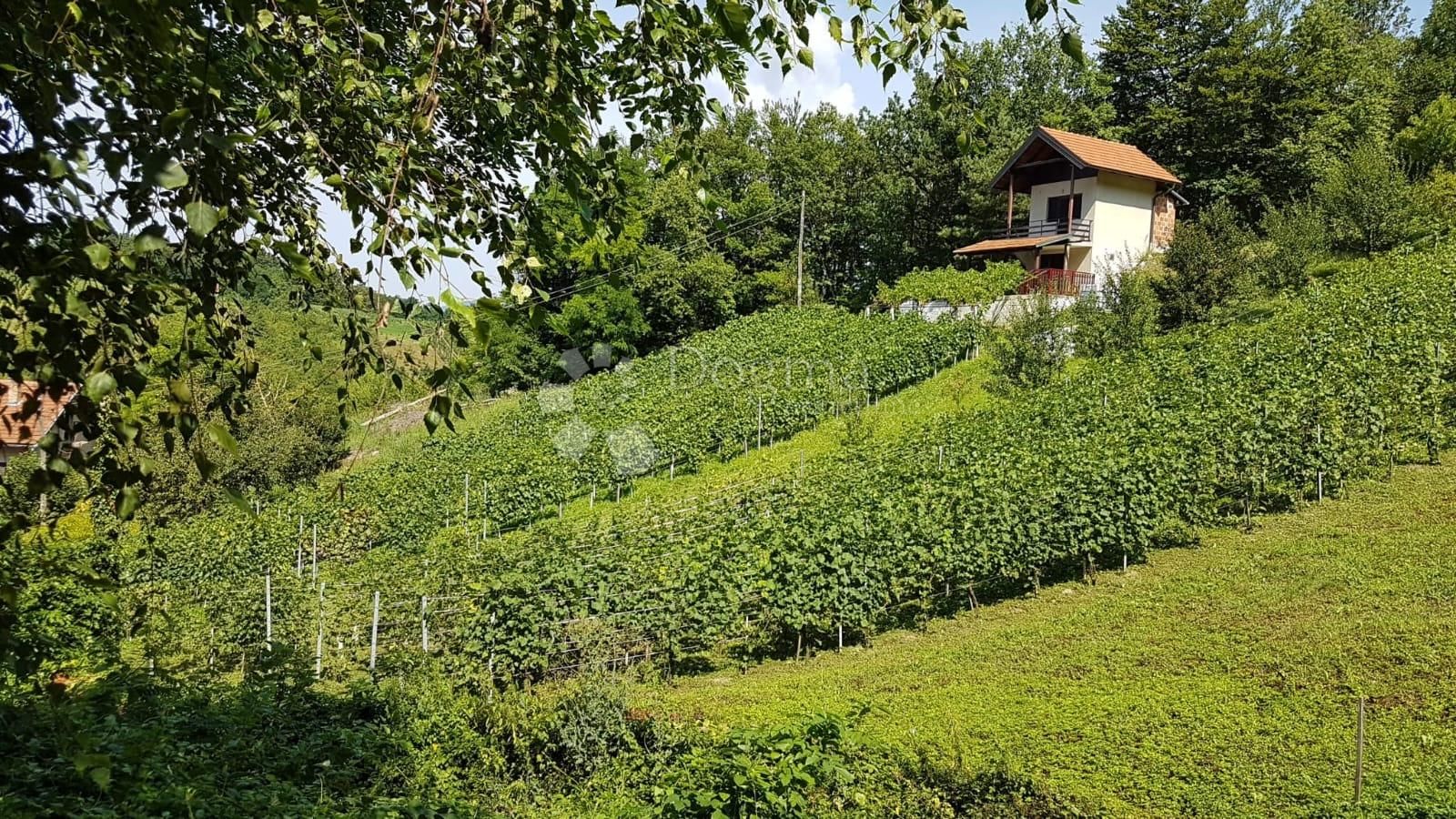 Fotografija