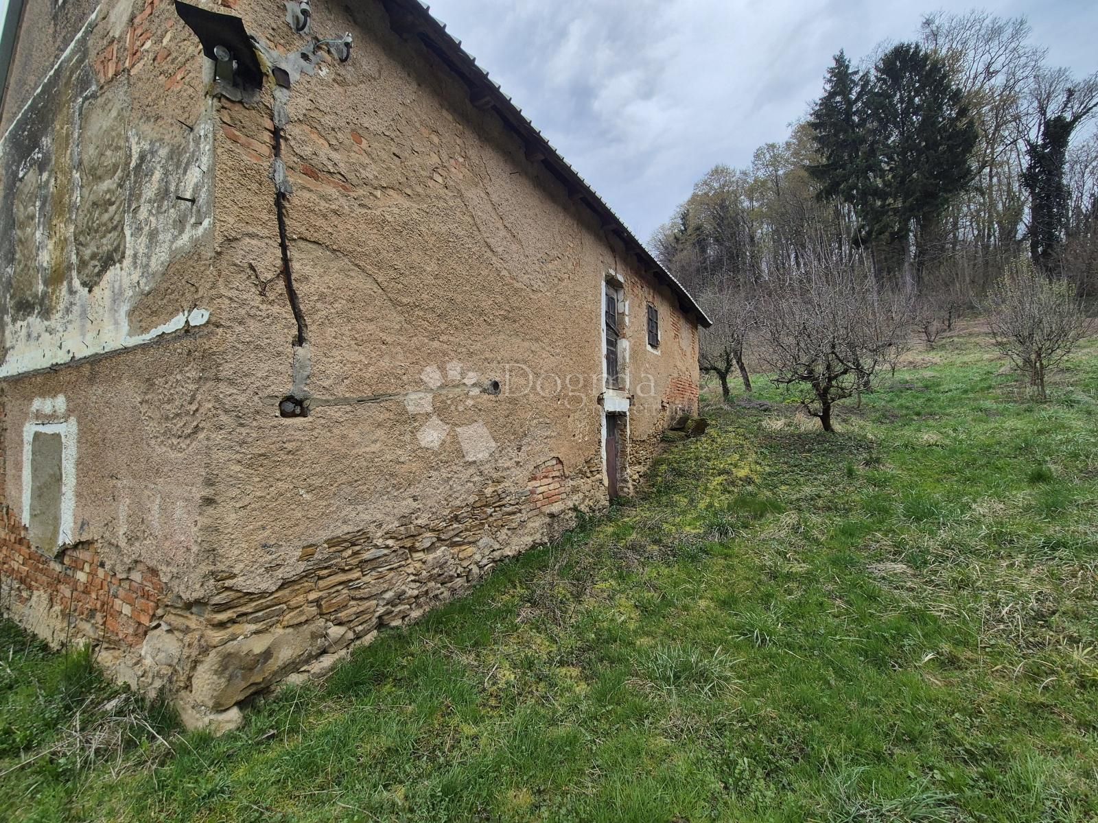 Fotografija